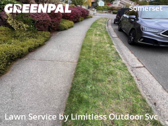 Yard Maintenance in Bellevue, 98006, Property Maintenance by Limitless Outdoor Svc, work completed in Nov , 2025