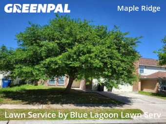 Yard Cutting nearby Houston, TX, 