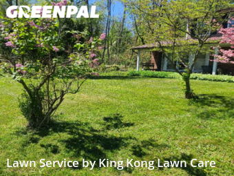 Yard Cutting nearby Rochester, NY, 