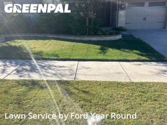 Grass Cut nearby Fort Worth, TX, 