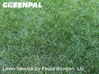 Yard Grooming in Bellevue, 68147, Lawn Work by Paula Bunyan, Llc, work completed in Nov , 2025