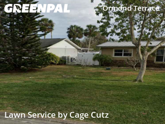 Lawn Services in Ormond Beach, 32174, Grass Care by Cage Cutz, work completed in Nov , 2025