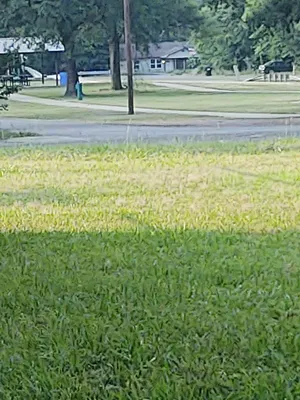 Longview Lawn & Garden Equipment Photo 8