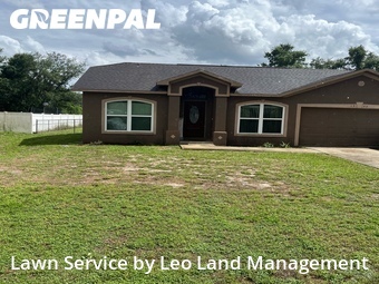 Grass Cut nearby Lakeland, FL, 