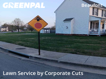 Lawn Cutting nearby Richmond, VA, 