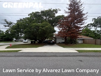 Lawn Mowing nearby Winter Park, FL, 