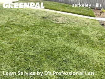 Lawn Mowing Service nearby Berkeley, CA, 
