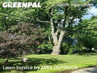 Lawn Maintenance nearby Kalamazoo, MI, 