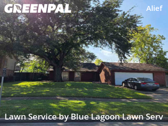 Lawn Servicein Houston,77072,Lawn Service by Blue Lagoon Lawn Serv, work completed in Nov , 2025
