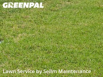 Lawn Maintenance nearby St. Augustine, FL, 