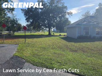 Yard Cutting nearby Ocala, FL, 