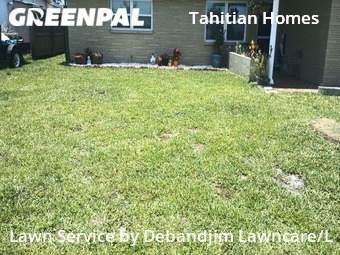 Yard Mowing nearby Holiday, FL, 
