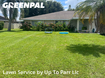Grass Cut nearby Cape Coral, FL, 