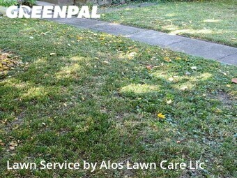 Lawn Cut nearby Indianapolis, IN, 