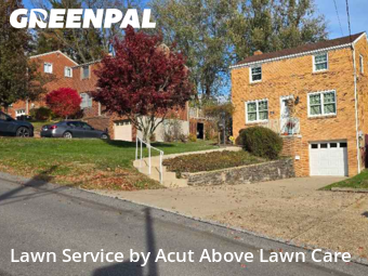 Yard Management in Bethel Park, 15102, Yard Care Services by Acut Above Lawn Care, work completed in Nov , 2025