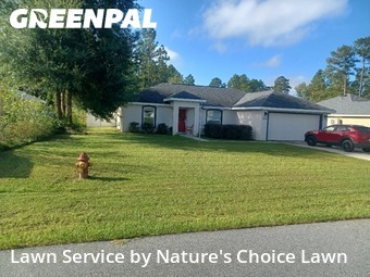 Lawn Mow nearby Ocala, FL, 