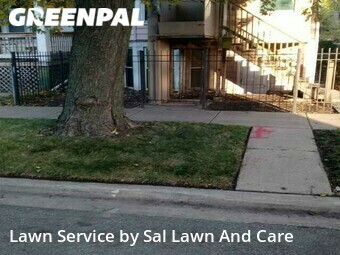 Lawn Care nearby Chicago, IN, 