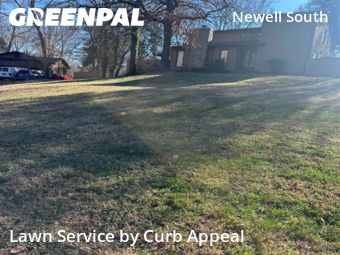 Landscaping Cleanup In Charlotte,28213,Landscaping Cleanup by Curb Appeal, work completed in Jan , 2026
