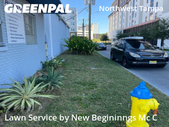 Lawn Service nearby Tampa, FL, 