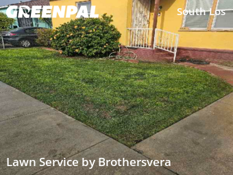 Backyard Landscaping In Los Angeles,90047,Landscaping Installation by Brothersvera, work completed in Jan , 2026