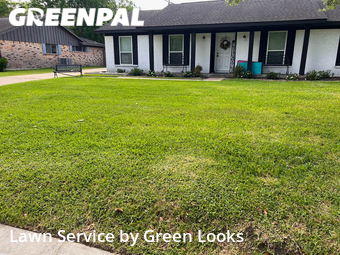 Lawn Cut nearby Friendswood, TX, 