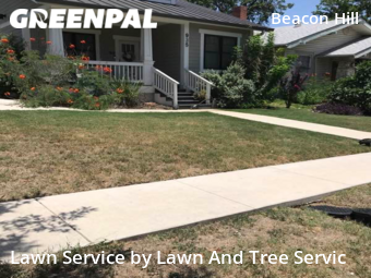 Lawn Cutting nearby San Antonio, TX, 