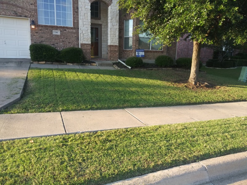 Order Lawn Care in Balch Springs, TX, 75180