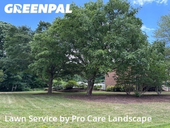 Lawn Care Service nearby Concord, NC, 
