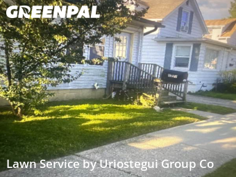 Grass Cut nearby Waukegan, IL, 