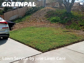 Grass Cut nearby Riverside, CA, 