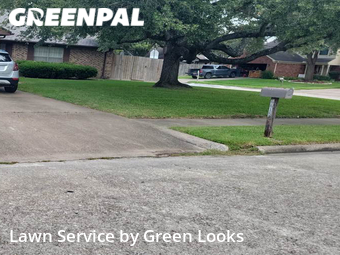 Grass Cutting nearby Pasadena, TX, 