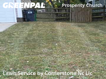 Grass Cutting nearby Charlotte, NC, 