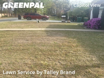 Landscaping Services In Little Rock,72205,Landscape Design by Talley Brand , work completed in Apr , 2026