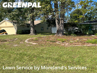 Lawn Care Service nearby Palm Coast, FL, 