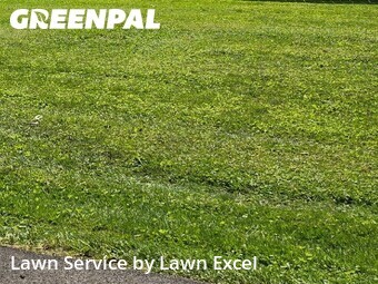 Grass Cutting nearby Noblesville, IN, 