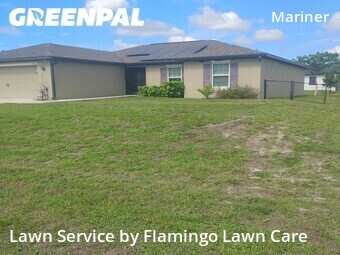 Lawn Care nearby Cape Coral, FL, 