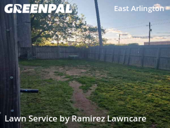 Lawn Mow nearby Arlington, TX, 