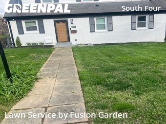 Lawn mowed in Silver Spring, 20901