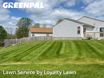 Lawn Care Service nearby Lexington, KY, 
