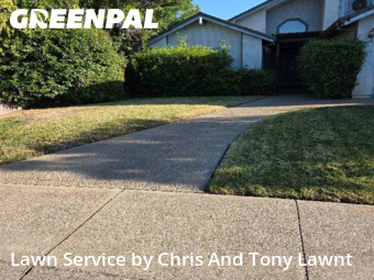 lawn-care-experts-near-me-in-Lodi-CA