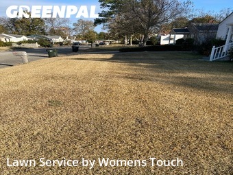 Lawn Care nearby Tuscaloosa, AL, 