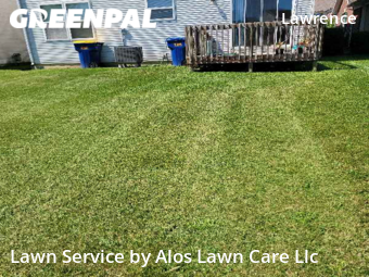 Lawn Cutting nearby Indianapolis, IN, 