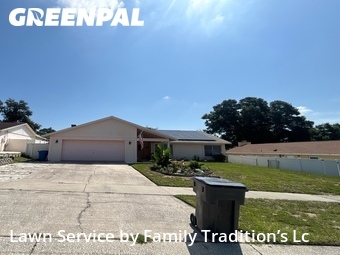 Lawn Mow nearby Brandon, FL, 