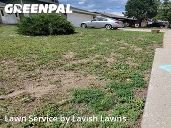 Lawn Mowing nearby Colorado Springs, CO, 
