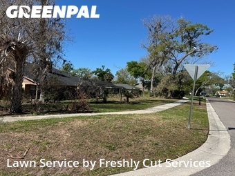 Lawn Cut nearby Brandon, FL, 