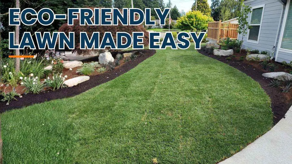 How to Create an Eco-Friendly Lawn (That's Easier to Maintain!)