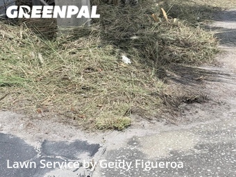 Landscape Design In St. Petersburg,33709,Landscaping Services by Geidy Figueroa, work completed in Jul , 2026