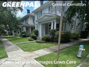 Grass Cut nearby New Orleans, LA, 