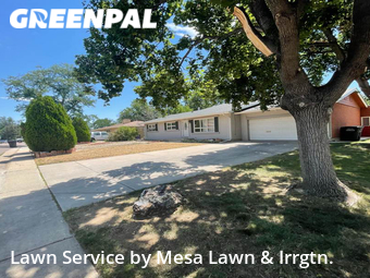 Lawn Cutting nearby Denver, CO, 