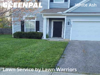 Grass Cut nearby Canal Winchester, OH, 